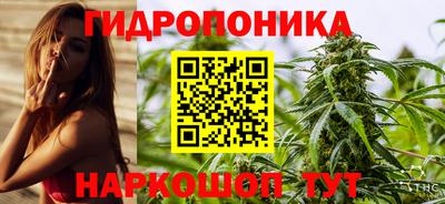 молекула духа Гатчина