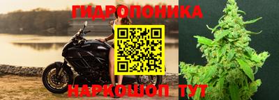 молекула духа Гатчина