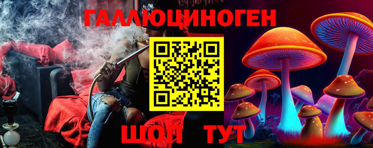 Галлюциногенные грибы GOLDEN TEACHER  Вход с VPN  Псилоцибиновые грибы мицелий  Новосибирск 